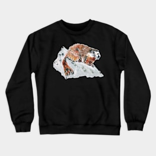 Goffer overseer Crewneck Sweatshirt